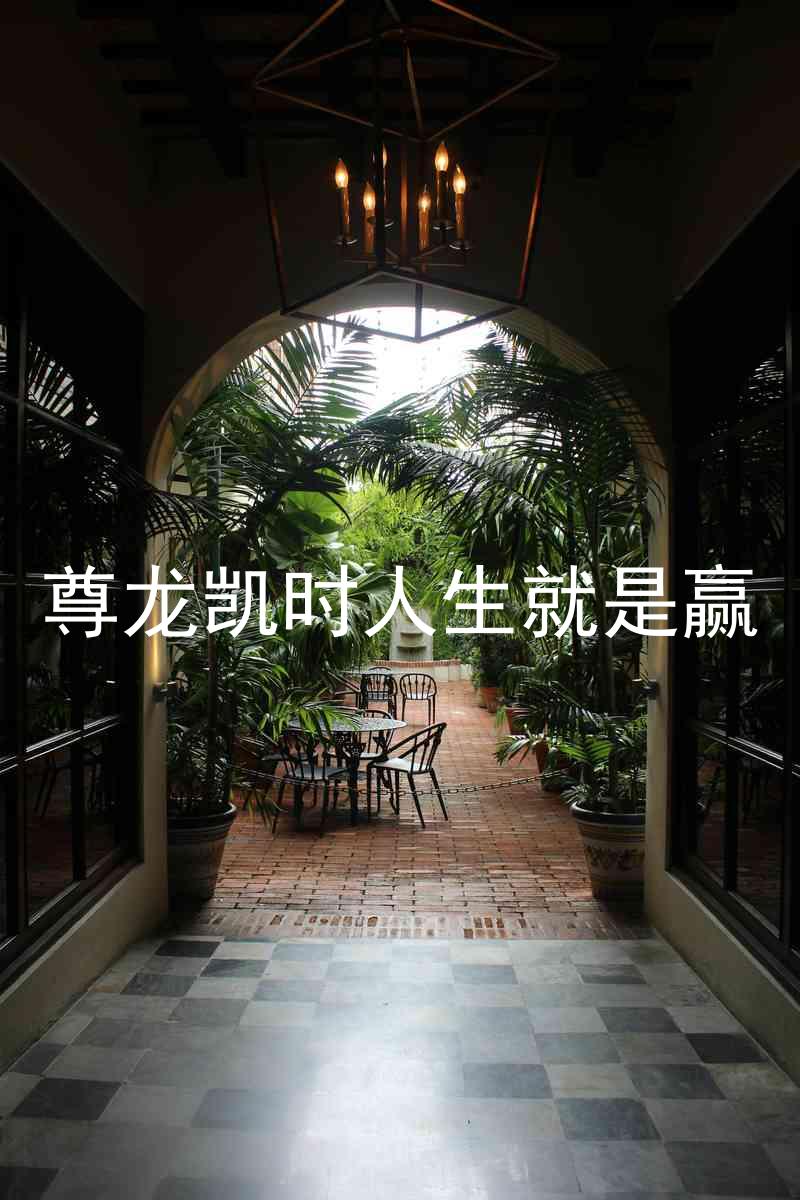 尊龙凯时人生就是赢