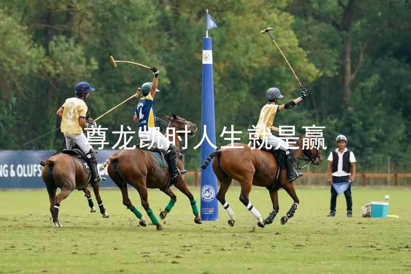 尊龙凯时人生就是赢